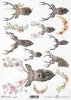 papier decoupage głowy, poroża jelenia*paper decoupage head, antlers deer*cabezas, cuernos de venado*головы, оленьи рога*Köpfe, Hirschgeweihe